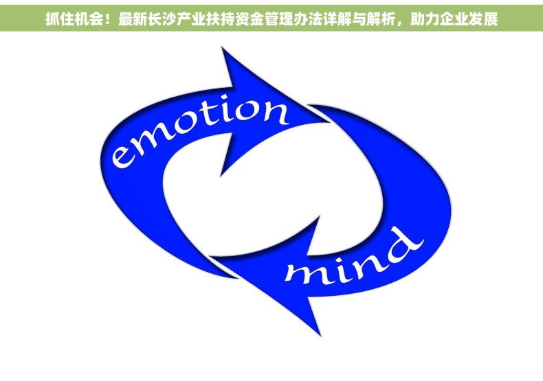 抓住机会！最新长沙产业扶持资金管理办法详解与解析，助力企业发展