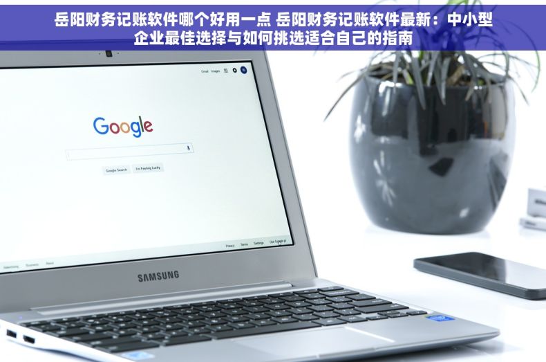岳阳财务记账软件哪个好用一点 岳阳财务记账软件最新：中小型企业最佳选择与如何挑选适合自己的指南
