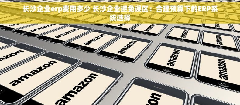 长沙企业erp费用多少 长沙企业避免误区：合理预算下的ERP系统选择