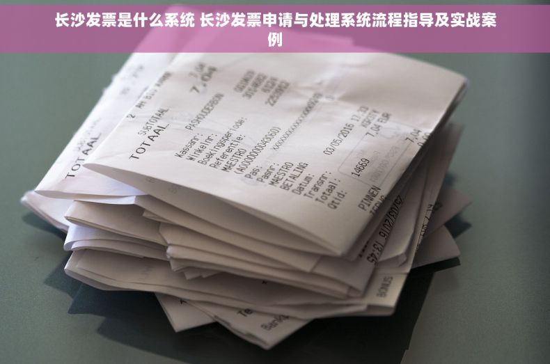 长沙发票是什么系统 长沙发票申请与处理系统流程指导及实战案例
