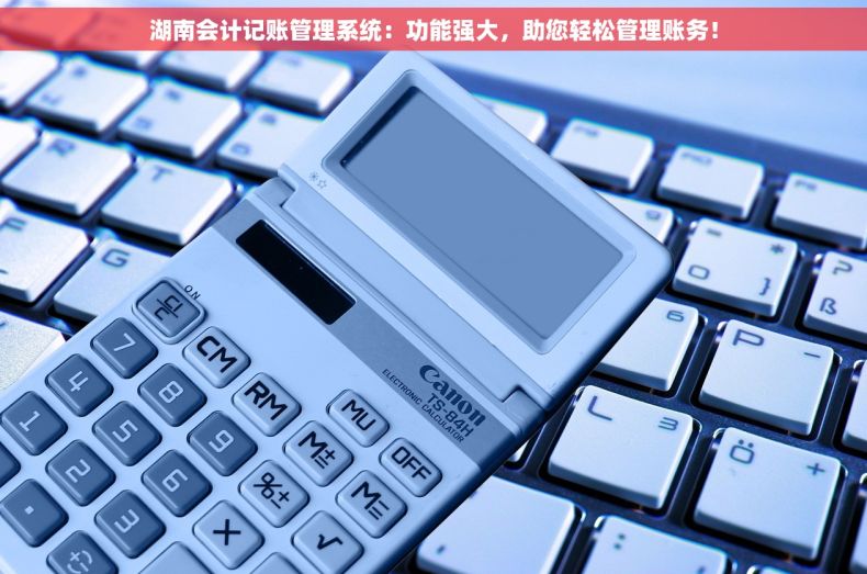 湖南会计记账管理系统：功能强大，助您轻松管理账务！