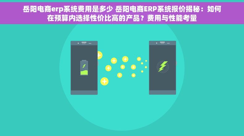 岳阳电商erp系统费用是多少 岳阳电商ERP系统报价揭秘：如何在预算内选择性价比高的产品？费用与性能考量