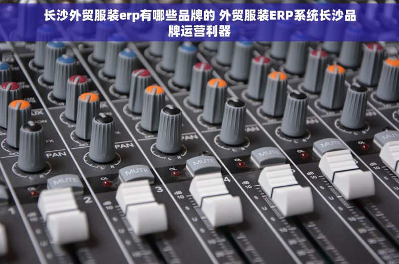 长沙外贸服装erp有哪些品牌的 外贸服装ERP系统长沙品牌运营利器
