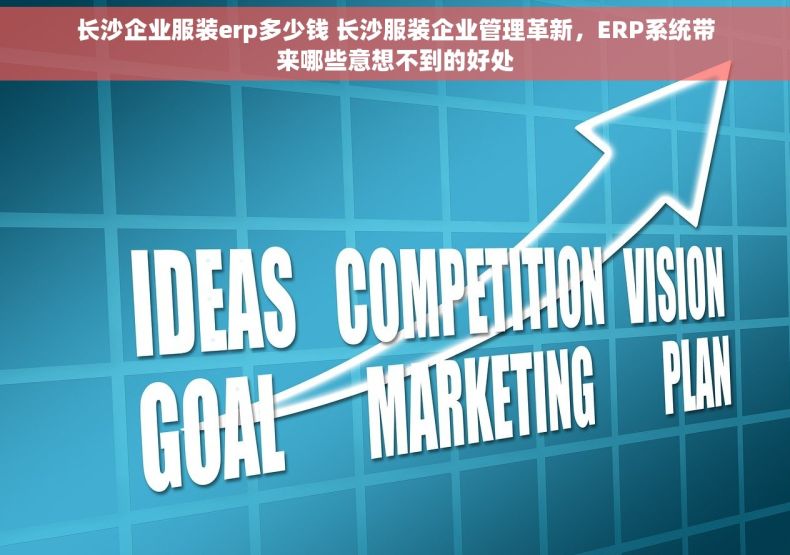 长沙企业服装erp多少钱 长沙服装企业管理革新，ERP系统带来哪些意想不到的好处