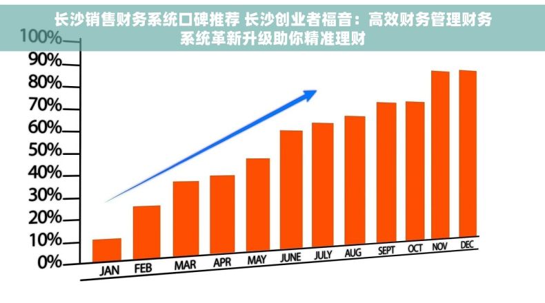 长沙销售财务系统口碑推荐 长沙创业者福音：高效财务管理财务系统革新升级助你精准理财