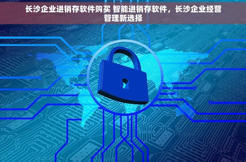 长沙企业进销存软件购买 智能进销存软件，长沙企业经营管理新选择