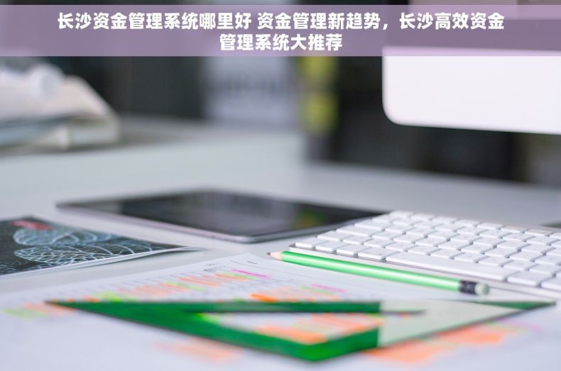 长沙资金管理系统哪里好 资金管理新趋势，长沙高效资金管理系统大推荐