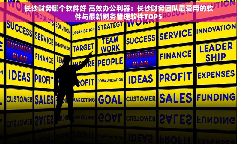 长沙财务哪个软件好 高效办公利器：长沙财务团队最爱用的软件与最新财务管理软件TOP5