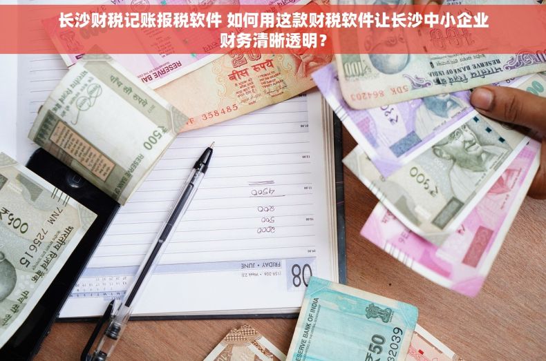 长沙财税记账报税软件 如何用这款财税软件让长沙中小企业财务清晰透明？