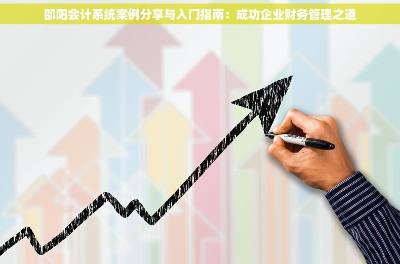 邵阳会计系统案例分享与入门指南：成功企业财务管理之道