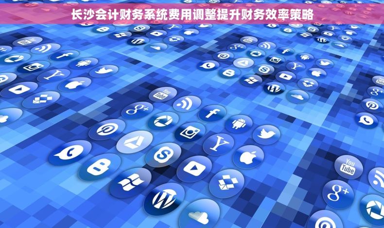 长沙会计财务系统费用调整提升财务效率策略
