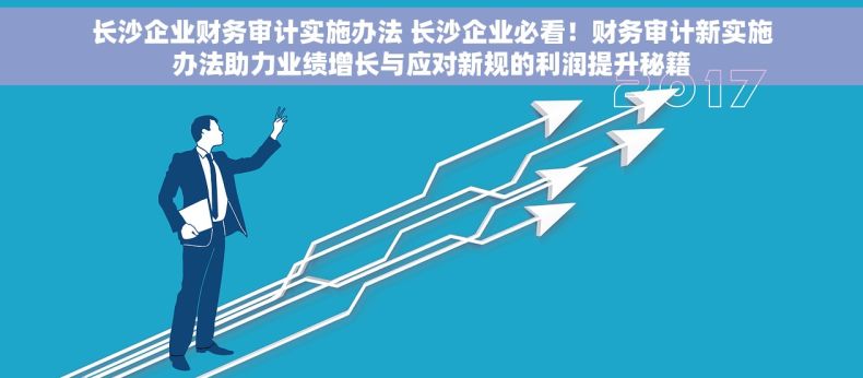 长沙企业财务审计实施办法 长沙企业必看！财务审计新实施办法助力业绩增长与应对新规的利润提升秘籍