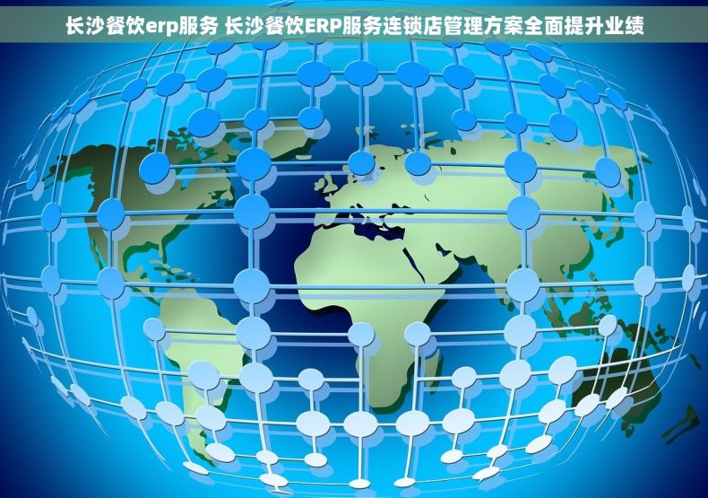 长沙餐饮erp服务 长沙餐饮ERP服务连锁店管理方案全面提升业绩