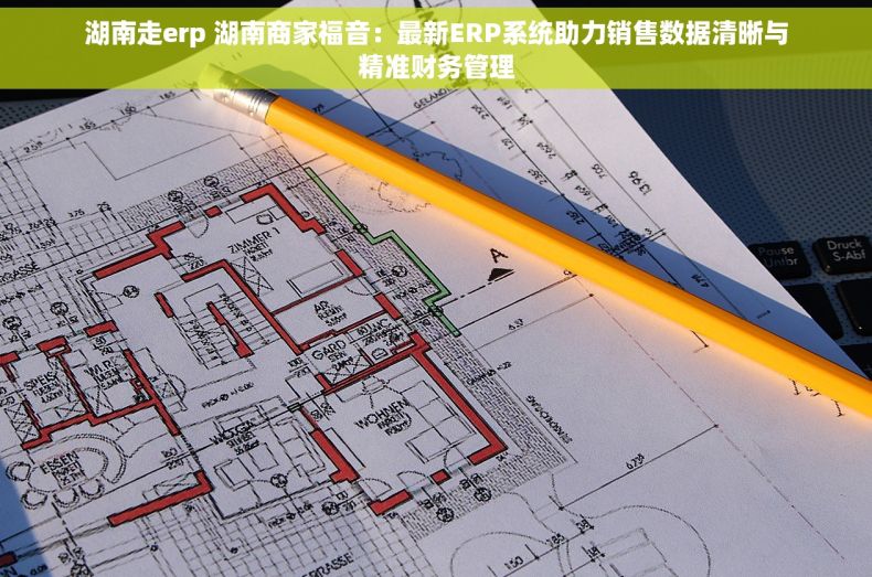 湖南走erp 湖南商家福音：最新ERP系统助力销售数据清晰与精准财务管理