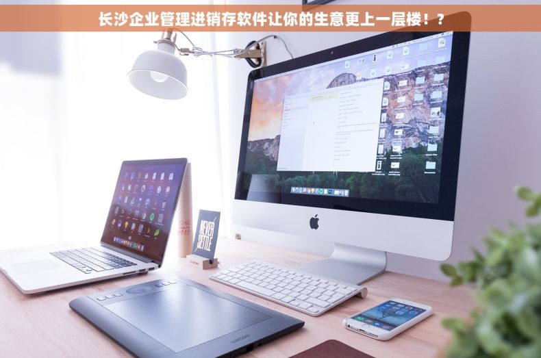 长沙企业管理进销存软件让你的生意更上一层楼！?