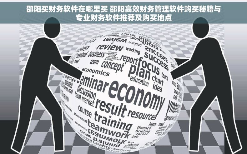 邵阳买财务软件在哪里买 邵阳高效财务管理软件购买秘籍与专业财务软件推荐及购买地点
