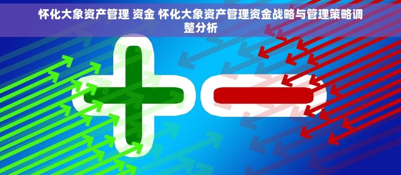 怀化大象资产管理 资金 怀化大象资产管理资金战略与管理策略调整分析