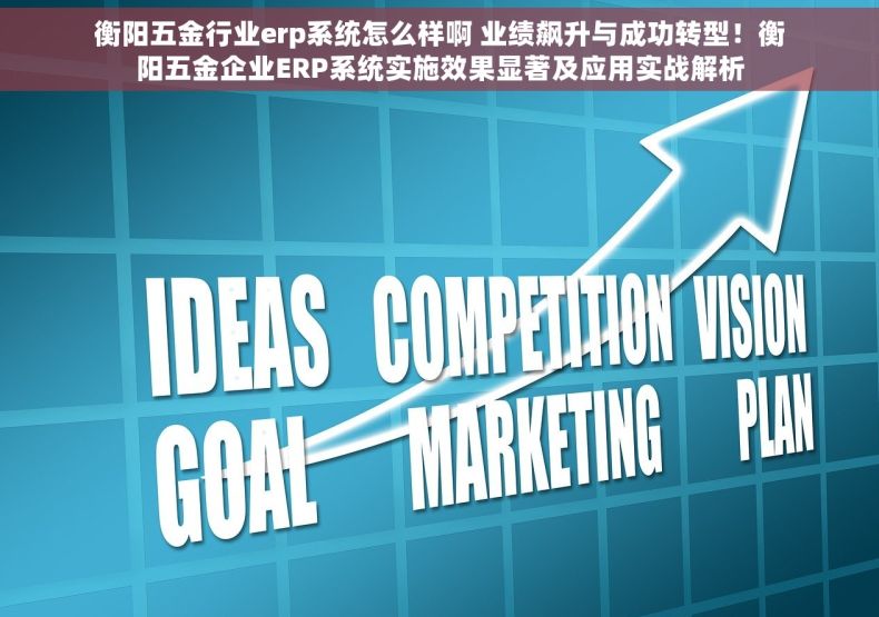 衡阳五金行业erp系统怎么样啊 业绩飙升与成功转型！衡阳五金企业ERP系统实施效果显著及应用实战解析