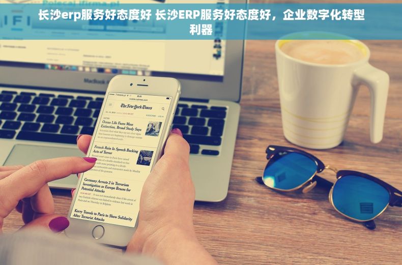 长沙erp服务好态度好 长沙ERP服务好态度好，企业数字化转型利器