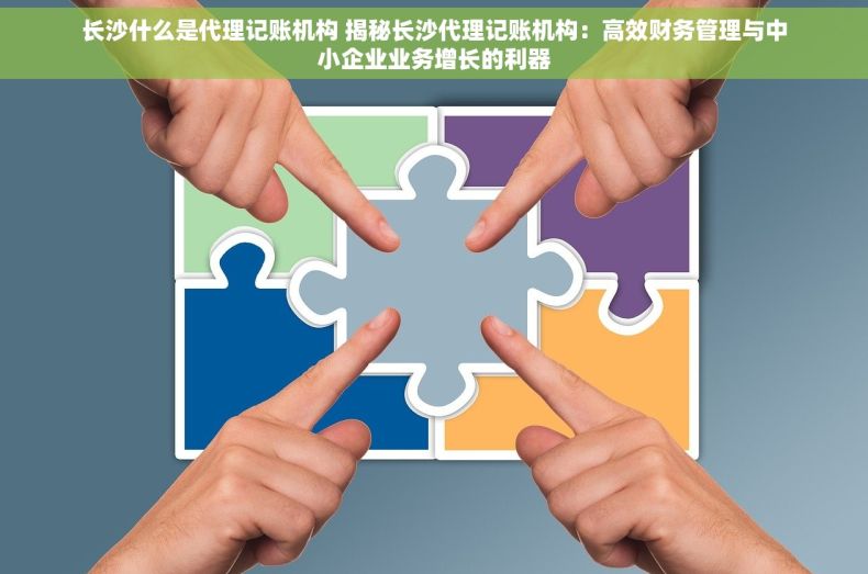 长沙什么是代理记账机构 揭秘长沙代理记账机构：高效财务管理与中小企业业务增长的利器
