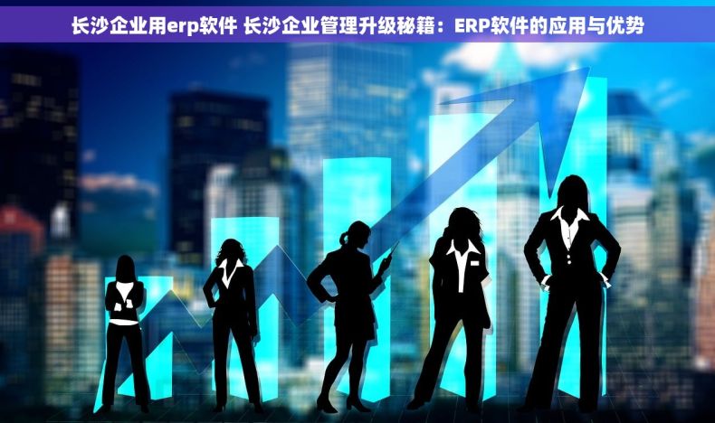 长沙企业用erp软件 长沙企业管理升级秘籍：ERP软件的应用与优势