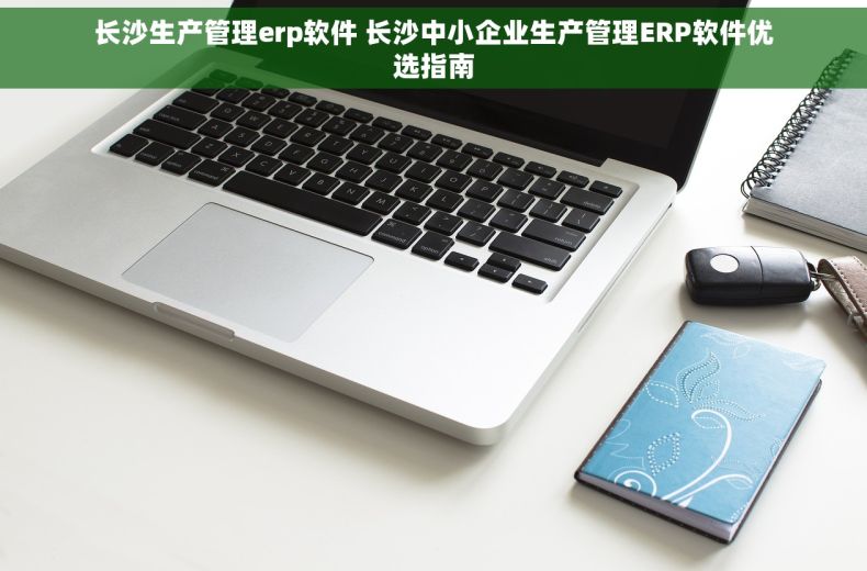 长沙生产管理erp软件 长沙中小企业生产管理ERP软件优选指南