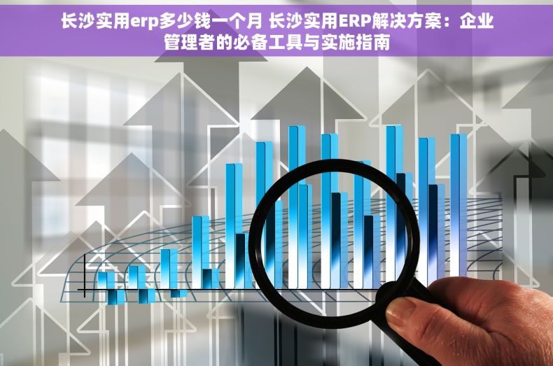 长沙实用erp多少钱一个月 长沙实用ERP解决方案：企业管理者的必备工具与实施指南