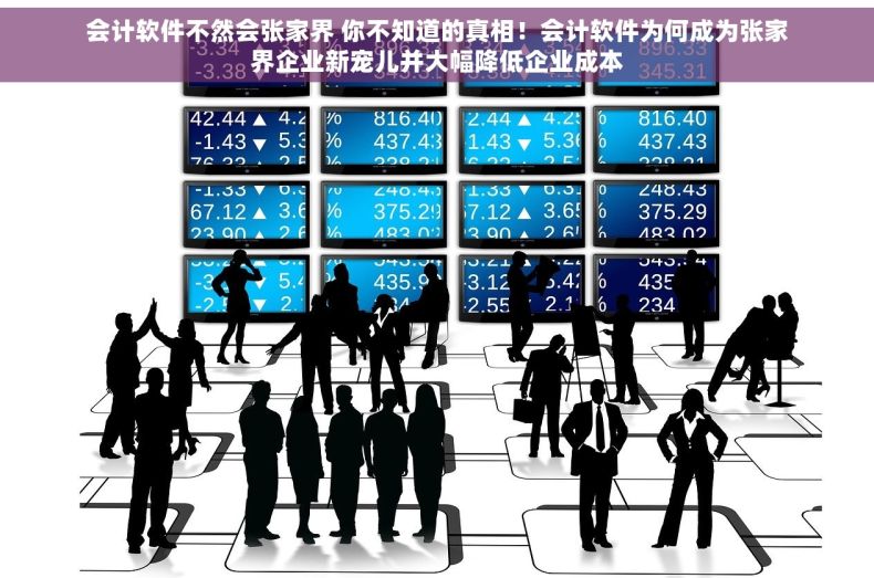 会计软件不然会张家界 你不知道的真相！会计软件为何成为张家界企业新宠儿并大幅降低企业成本
