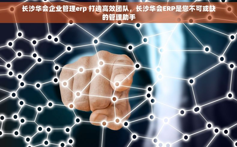 长沙华会企业管理erp 打造高效团队，长沙华会ERP是您不可或缺的管理助手