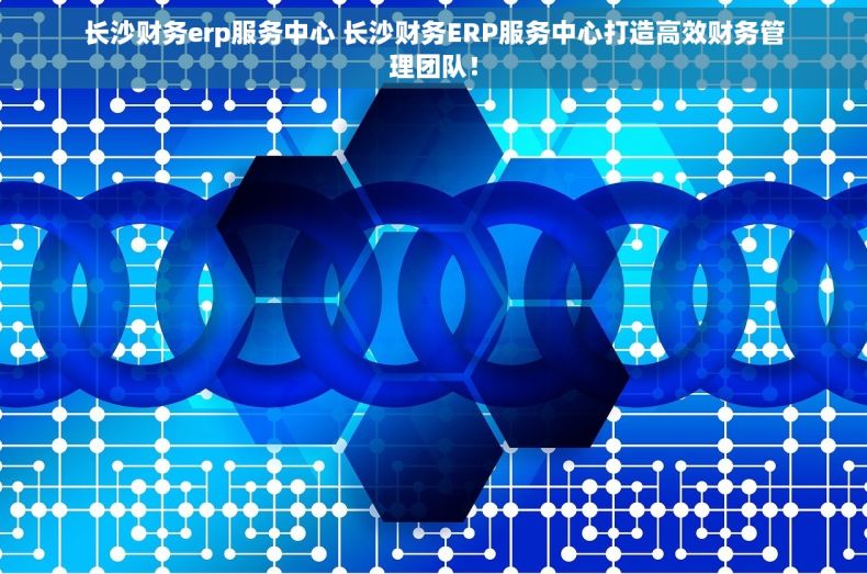 长沙财务erp服务中心 长沙财务ERP服务中心打造高效财务管理团队！
