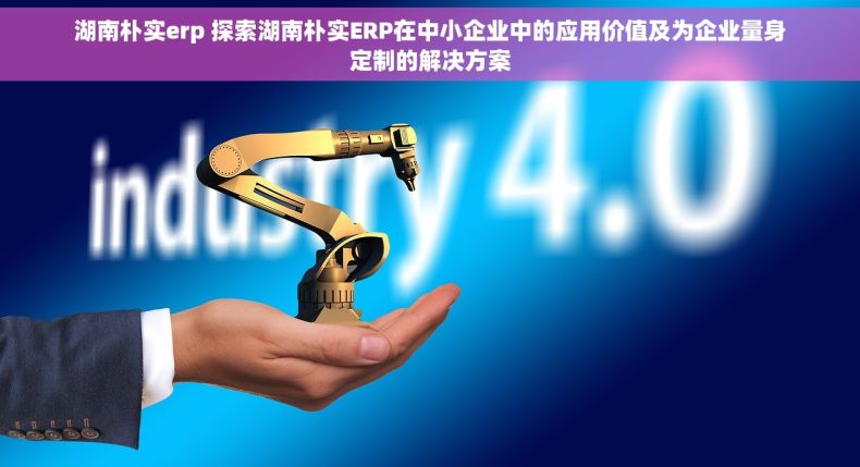 湖南朴实erp 探索湖南朴实ERP在中小企业中的应用价值及为企业量身定制的解决方案