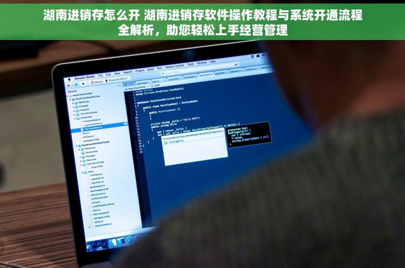 湖南进销存怎么开 湖南进销存软件操作教程与系统开通流程全解析，助您轻松上手经营管理