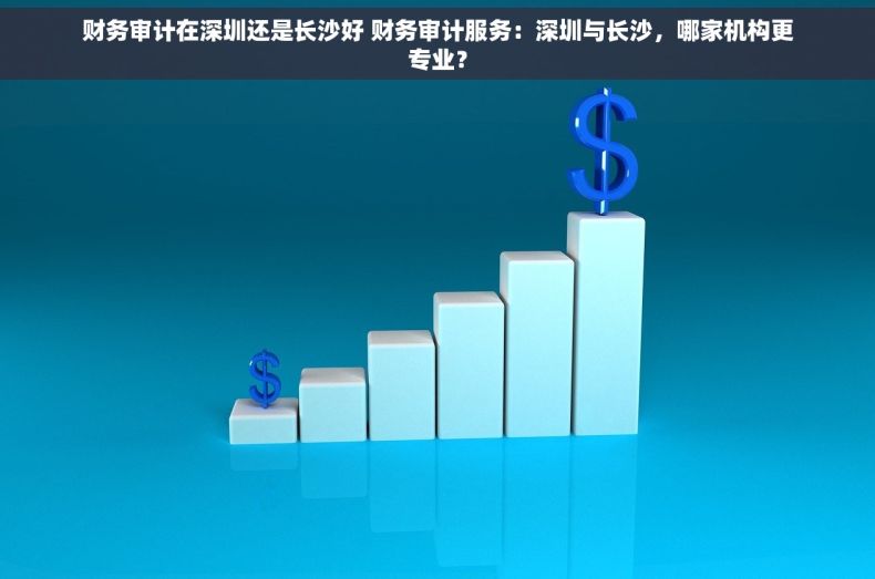 财务审计在深圳还是长沙好 财务审计服务：深圳与长沙，哪家机构更专业？