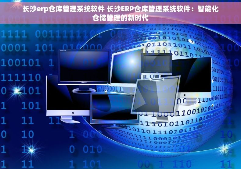 长沙erp仓库管理系统软件 长沙ERP仓库管理系统软件：智能化仓储管理的新时代