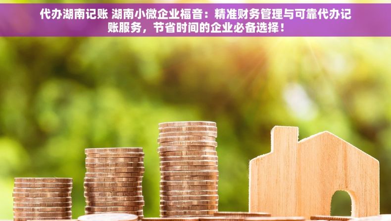 代办湖南记账 湖南小微企业福音：精准财务管理与可靠代办记账服务，节省时间的企业必备选择！
