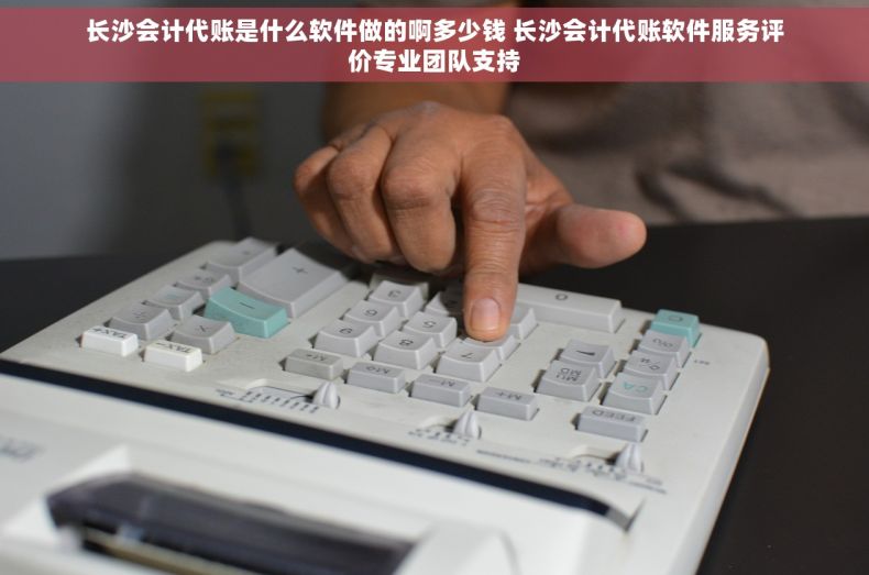 长沙会计代账是什么软件做的啊多少钱 长沙会计代账软件服务评价专业团队支持