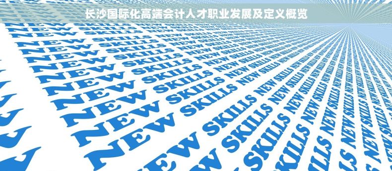 长沙国际化高端会计人才职业发展及定义概览