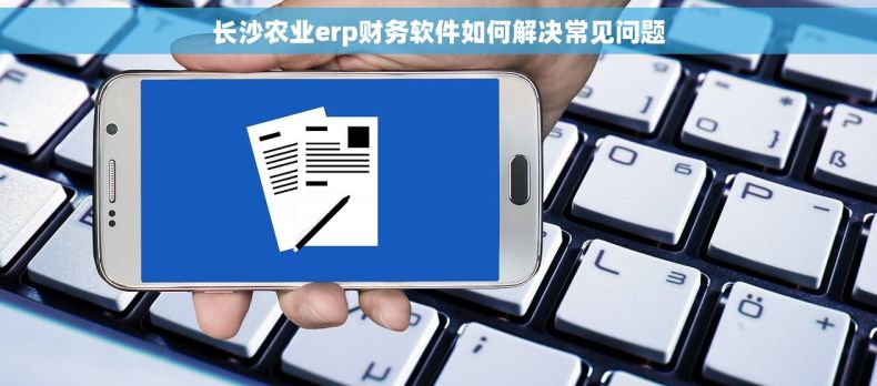长沙农业erp财务软件如何解决常见问题