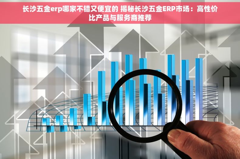 长沙五金erp哪家不错又便宜的 揭秘长沙五金ERP市场：高性价比产品与服务商推荐