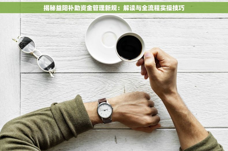 揭秘益阳补助资金管理新规：解读与全流程实操技巧