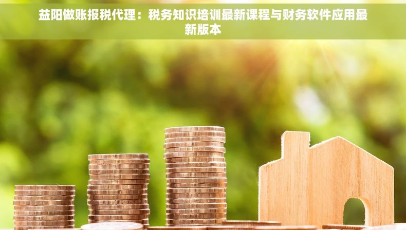 益阳做账报税代理：税务知识培训最新课程与财务软件应用最新版本