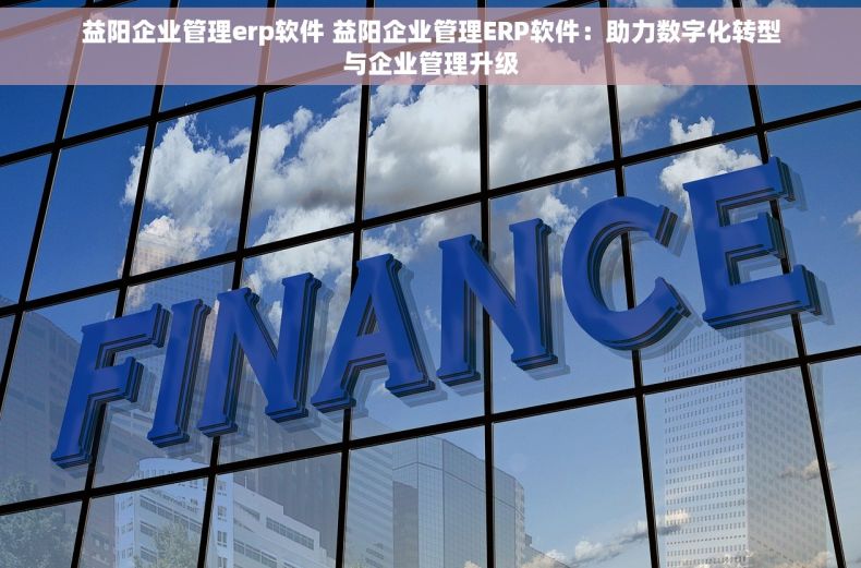 益阳企业管理erp软件 益阳企业管理ERP软件：助力数字化转型与企业管理升级