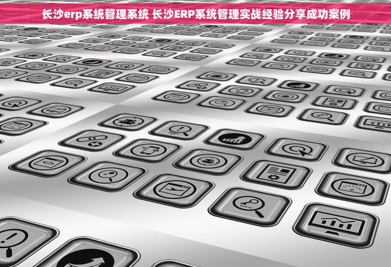 长沙erp系统管理系统 长沙ERP系统管理实战经验分享成功案例