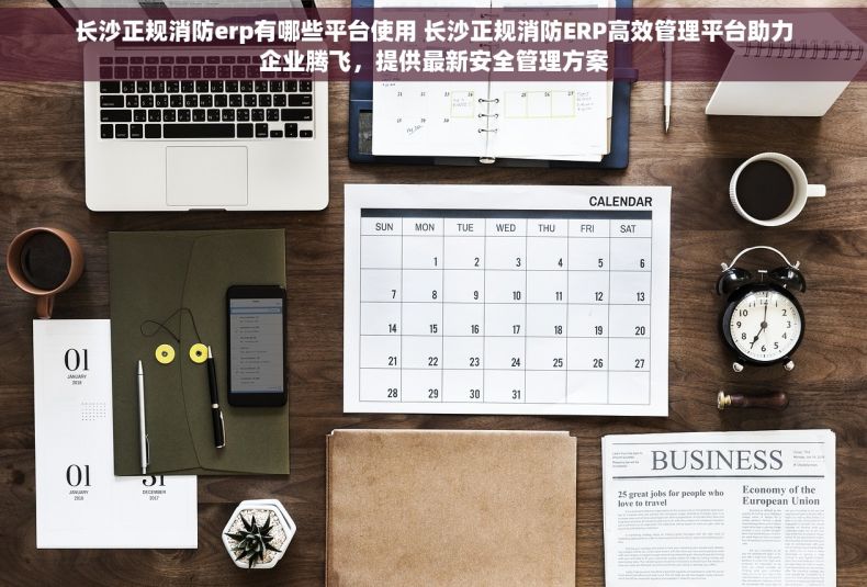 长沙正规消防erp有哪些平台使用 长沙正规消防ERP高效管理平台助力企业腾飞，提供最新安全管理方案