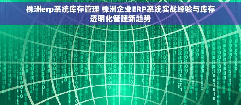 株洲erp系统库存管理 株洲企业ERP系统实战经验与库存透明化管理新趋势