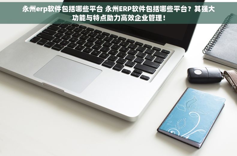 永州erp软件包括哪些平台 永州ERP软件包括哪些平台？其强大功能与特点助力高效企业管理！