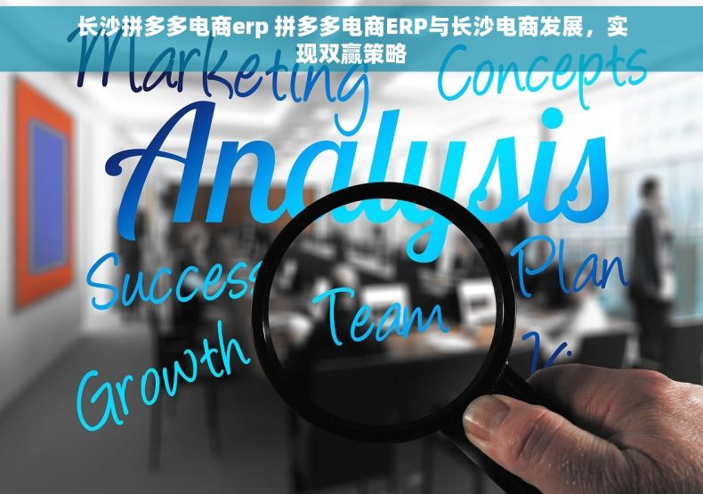长沙拼多多电商erp 拼多多电商ERP与长沙电商发展，实现双赢策略