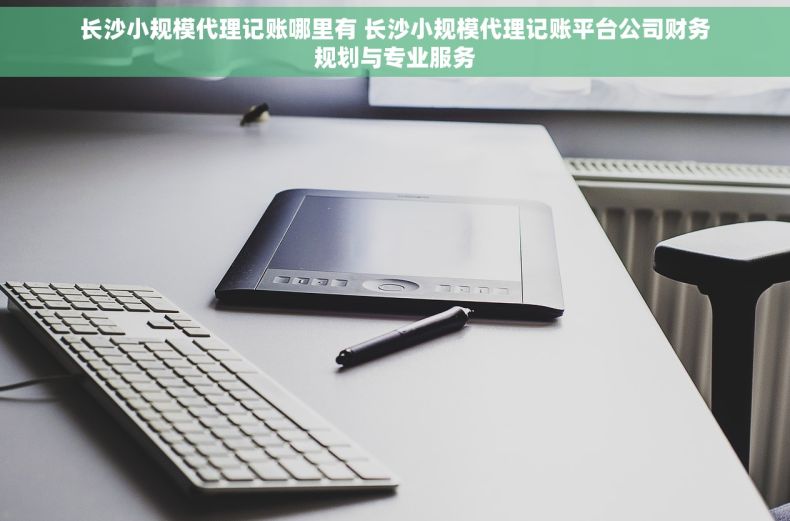 长沙小规模代理记账哪里有 长沙小规模代理记账平台公司财务规划与专业服务