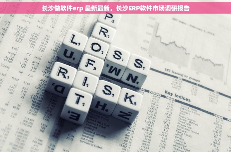 长沙做软件erp 最新最新，长沙ERP软件市场调研报告
