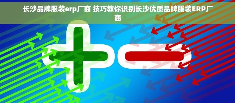长沙品牌服装erp厂商 技巧教你识别长沙优质品牌服装ERP厂商